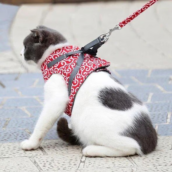 Breathable Cat Harness Set