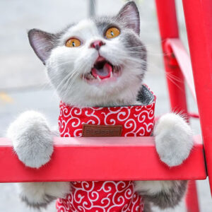 Breathable Cat Harness Set